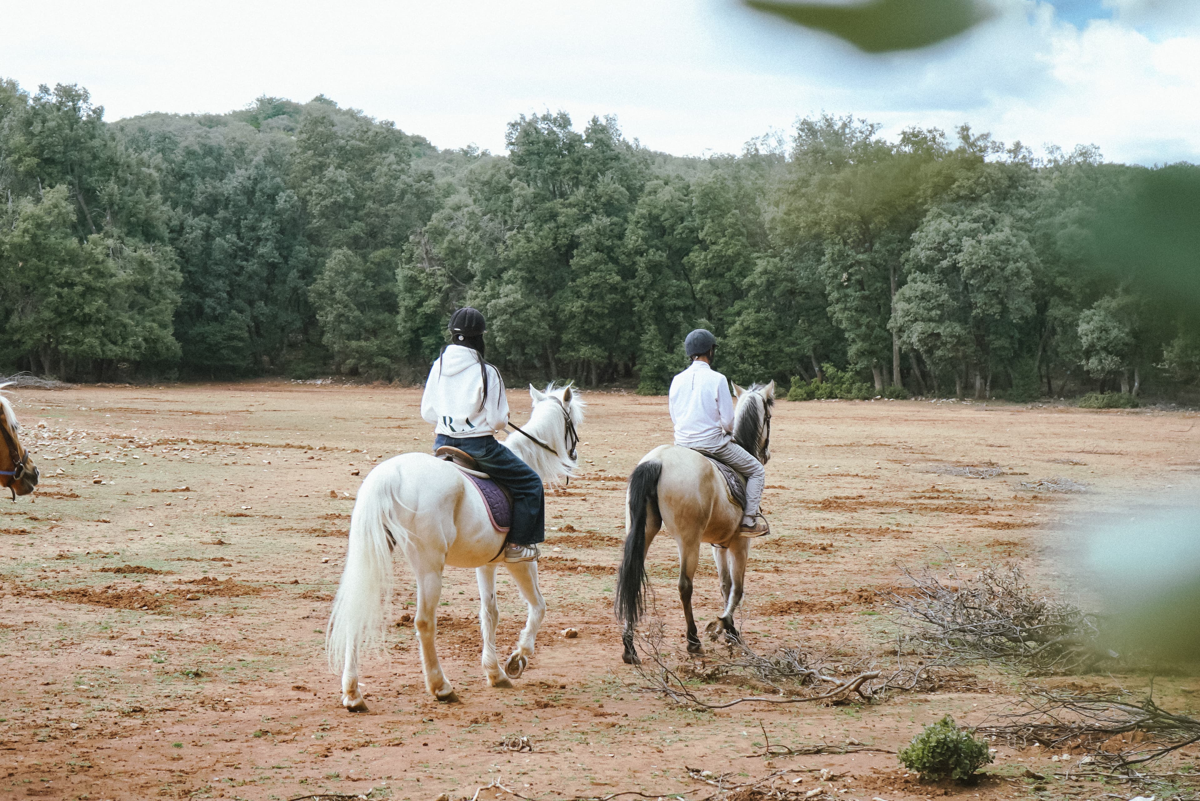 Horse Riding in Middle Atlas