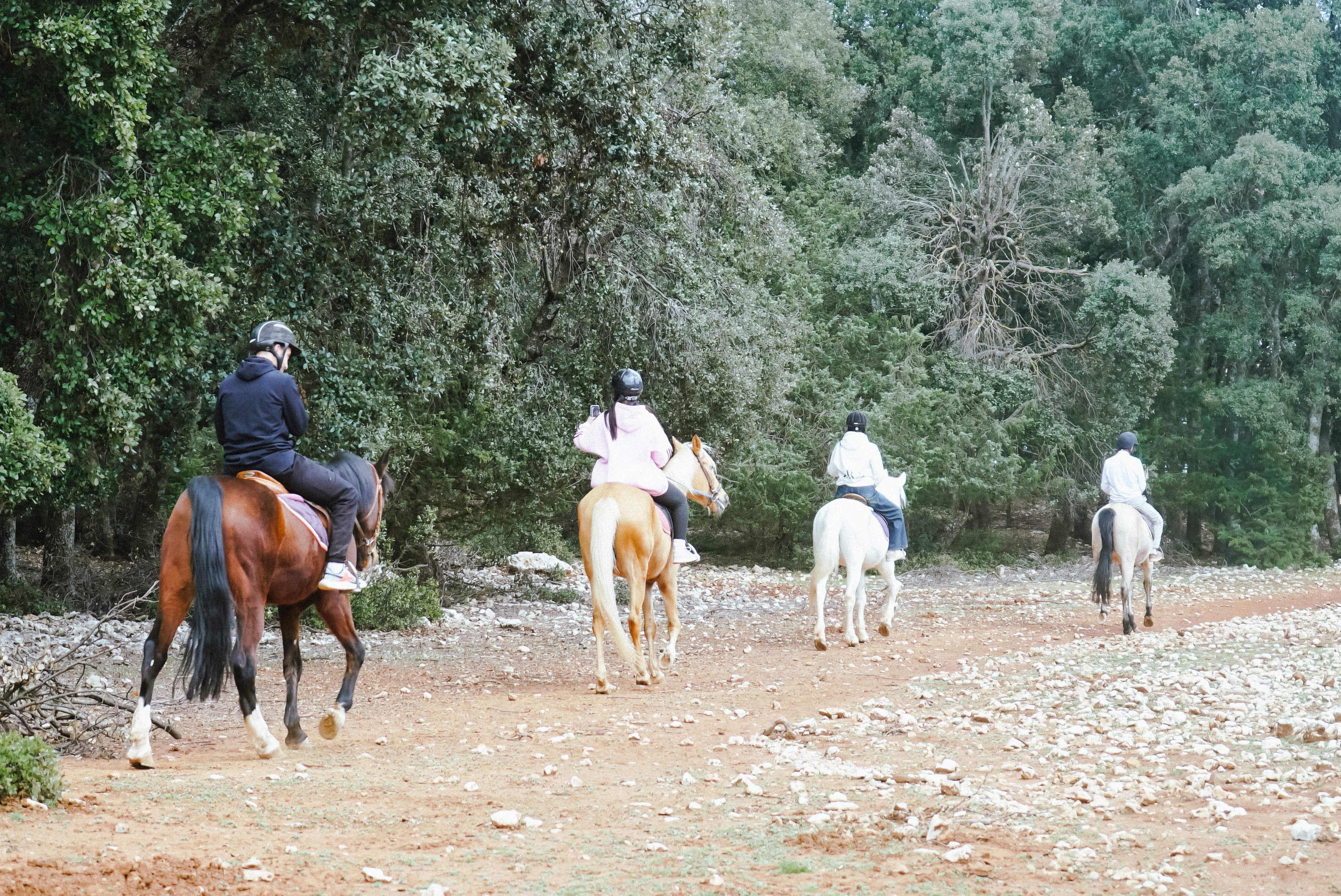 Horse Riding in Middle Atlas